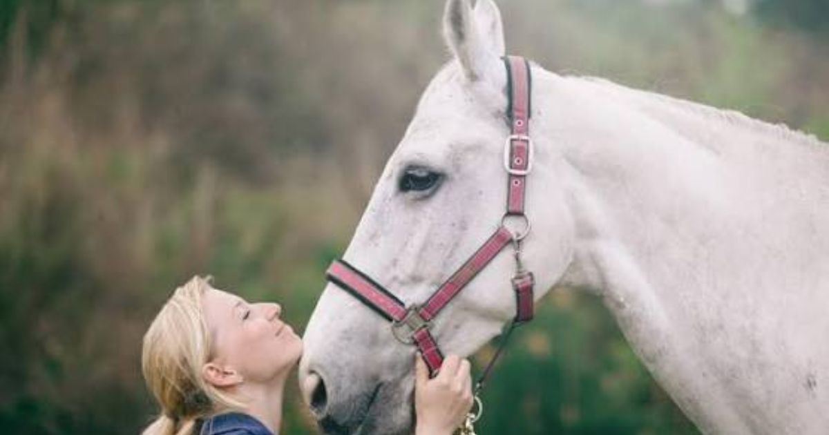 600+ Best White Horse Names That are Cute, Funny & More